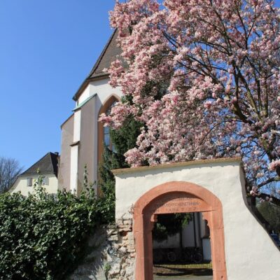 IMG_0599.2015-04-12_075934